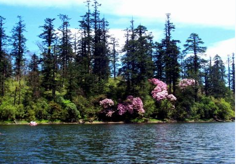 四川黑竹溝國家森林公園(黑竹溝) 四川黑竹溝國家森林公園(黑竹溝)