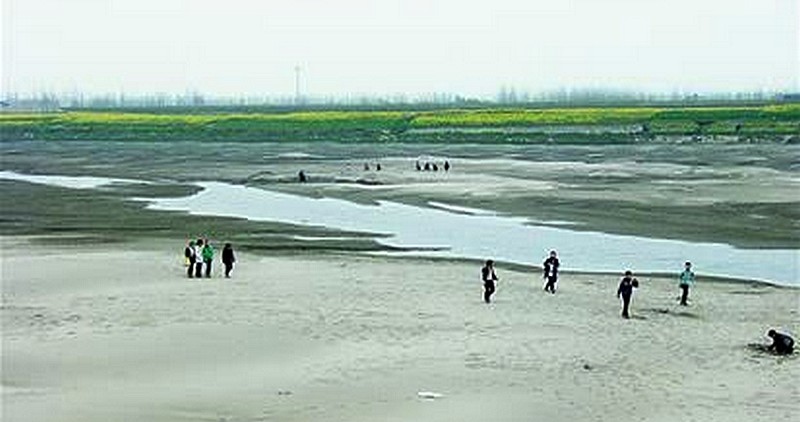 枯水的藕池河河床 枯水的藕池河河床