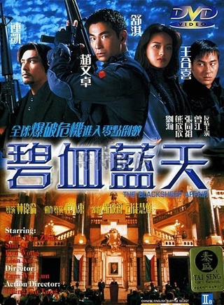 趙文卓(影視演員)