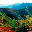 仙台山(河南省安陽市林州市仙台山)