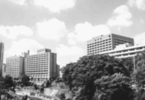 位於東京中心地帶的順天堂大學本部 位於東京中心地帶的順天堂大學本部