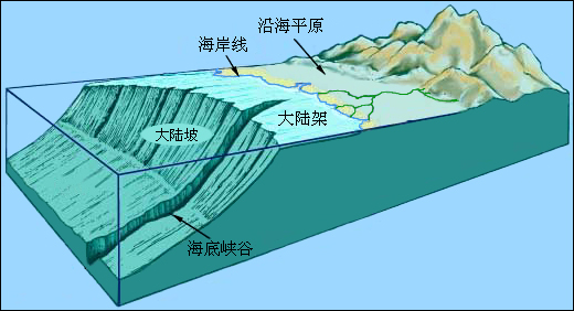 大陸架地勢多平坦 大陸架地勢多平坦