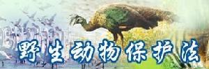 野生動物保護法 野生動物保護法