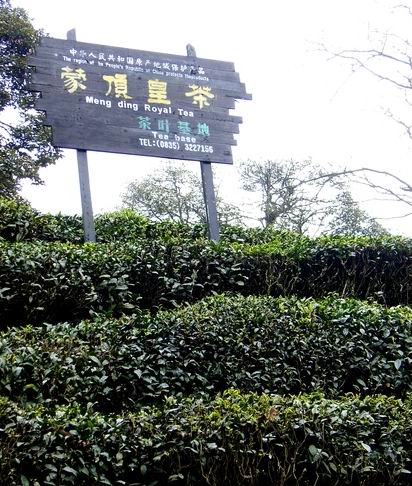 皇茶園 皇茶園