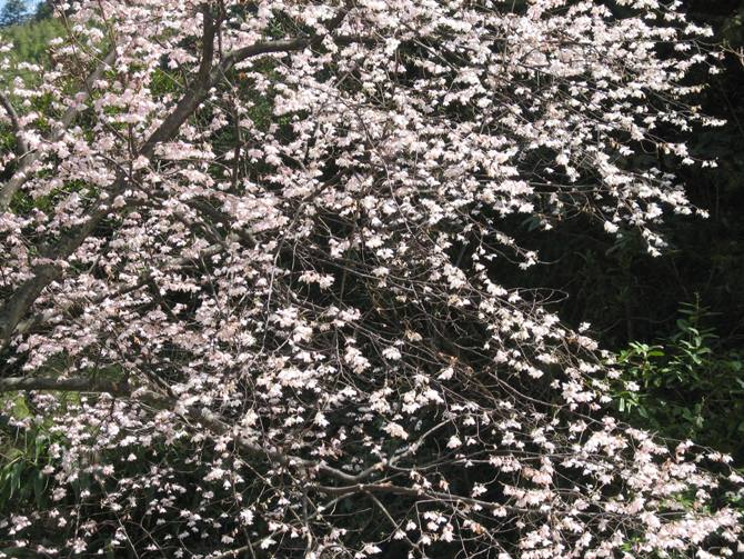 螺殼山景區 螺殼山景區