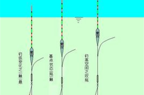 釣魚論壇