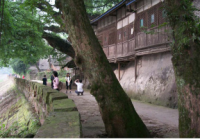 柳江古鎮 柳江古鎮