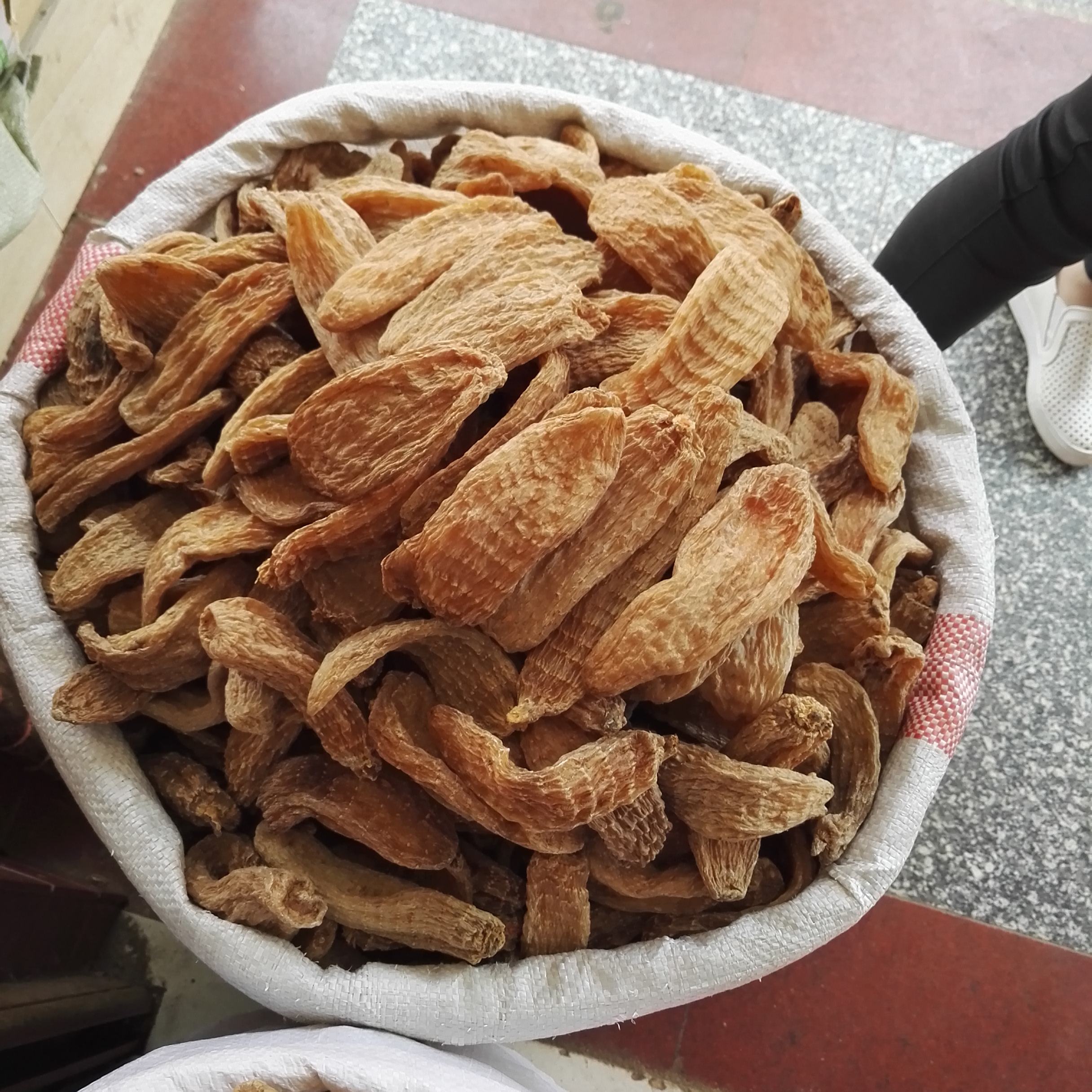 滎經天麻 滎經天麻