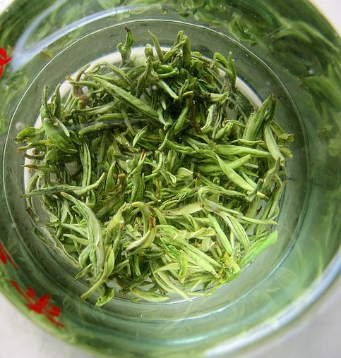 綠茶(茶葉品種) 綠茶(茶葉品種)
