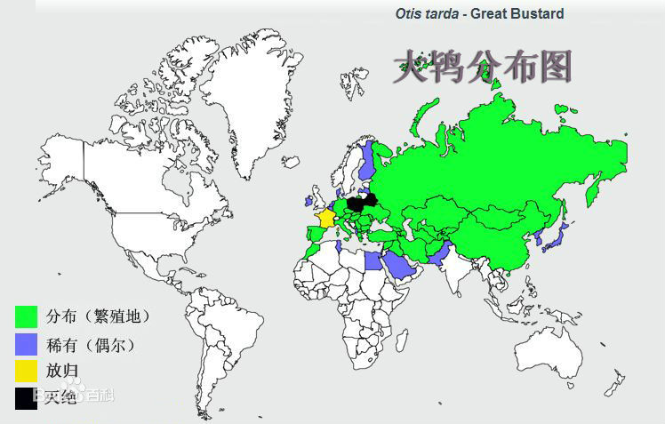 大鴇分布圖 大鴇分布圖