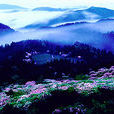天台山(浙江省天台縣天台山)