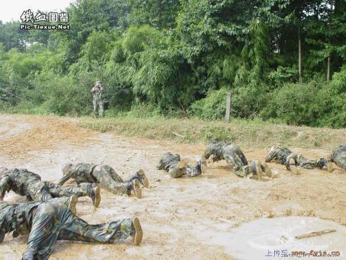 軍事訓練 軍事訓練
