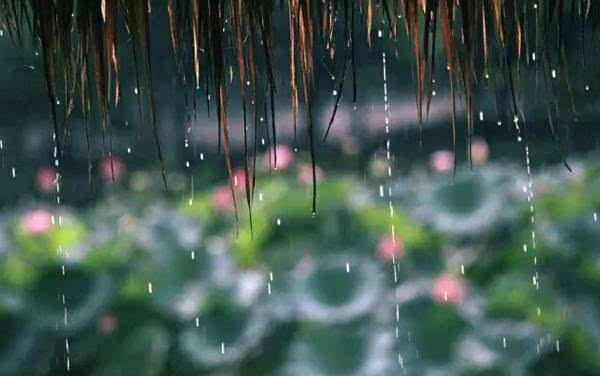 梅雨季