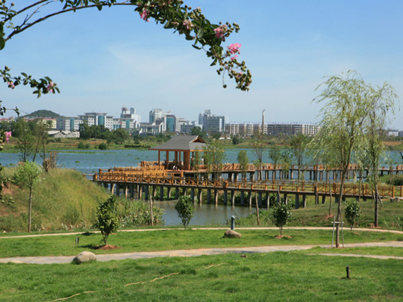 東湖公園 東湖公園