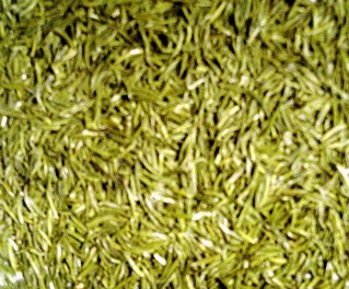 黃茶 黃茶