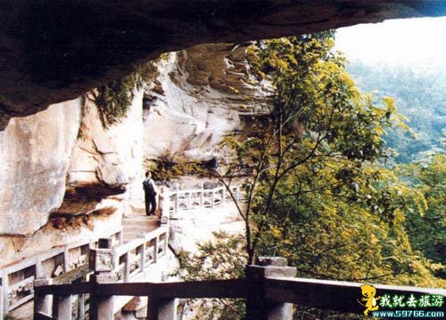 金城山 金城山