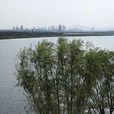 袁河