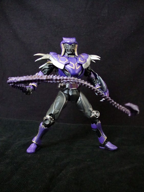假面騎士王蛇survive