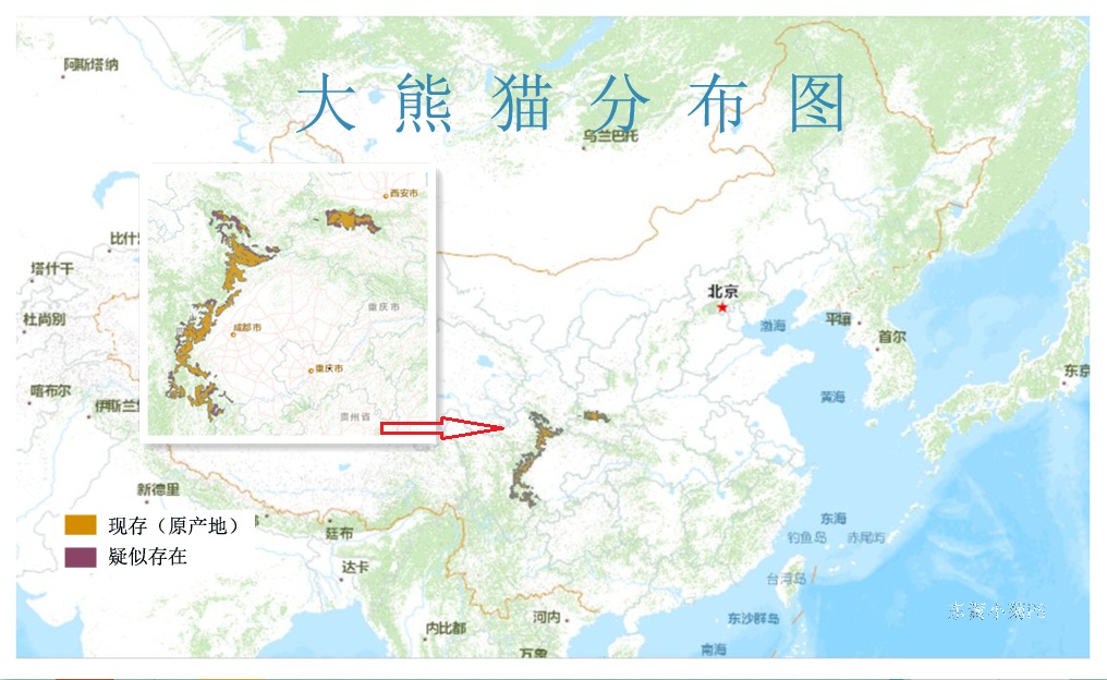 大熊貓分布圖 大熊貓分布圖
