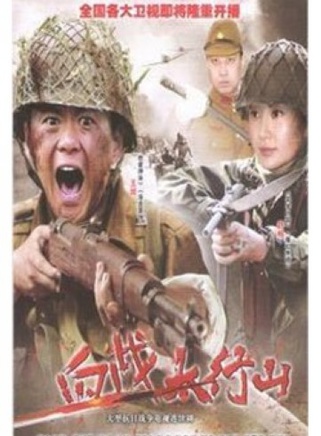 舒暢(1987年出生的中國內地女演員)