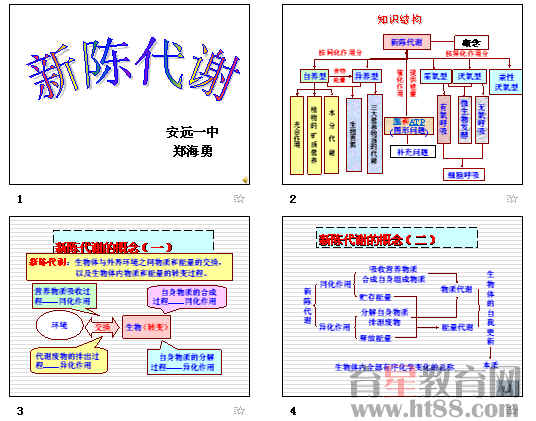 新陳代謝 新陳代謝
