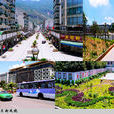 西區(四川省攀枝花市西區)