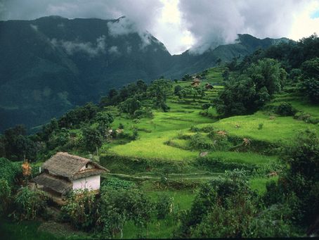 大婁山地貌 大婁山地貌