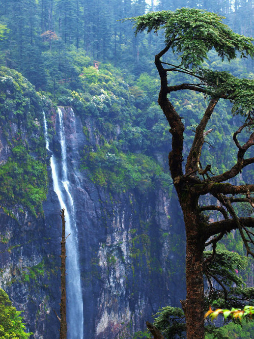 瓦屋山 瓦屋山