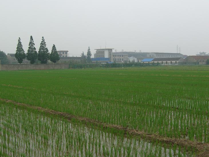 靖城鎮 靖城鎮