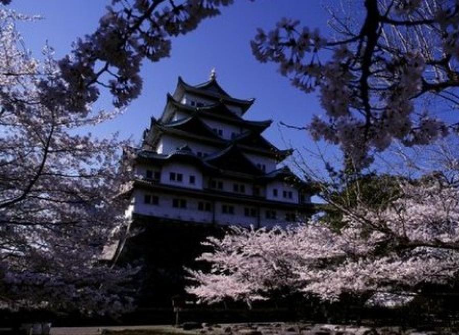 名古屋大學
