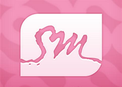 韓國sm娛樂有限公司 韓國sm娛樂有限公司