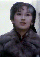 上海灘(1980年周潤發、趙雅芝主演tvb電視劇)