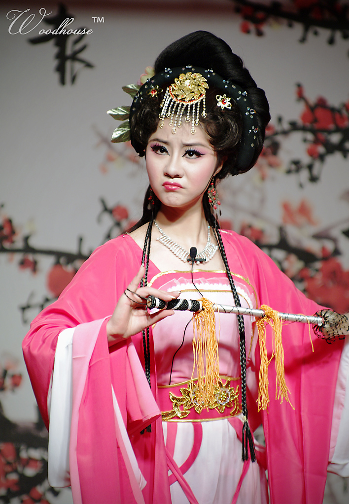 黃梅戲(中國五大戲曲劇種之一) 黃梅戲(中國五大戲曲劇種之一)