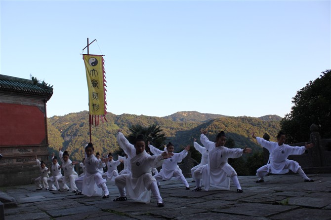武術(中國武術) 武術(中國武術)