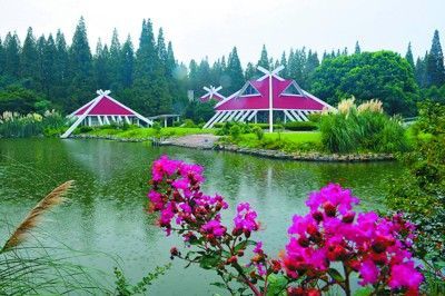 崇明島東平森林公園 崇明島東平森林公園