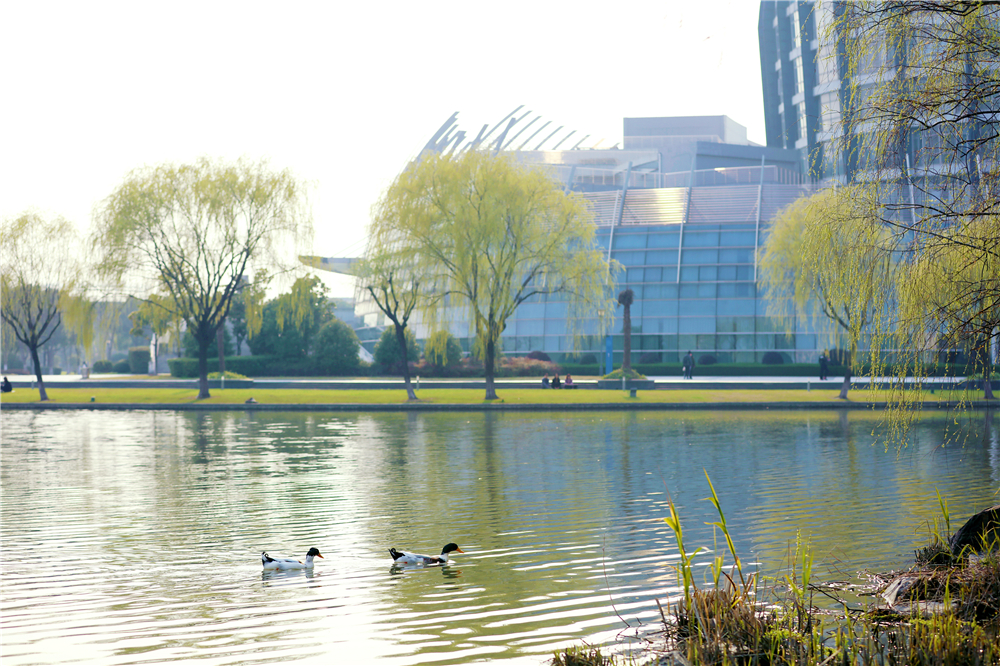 東華大學 東華大學