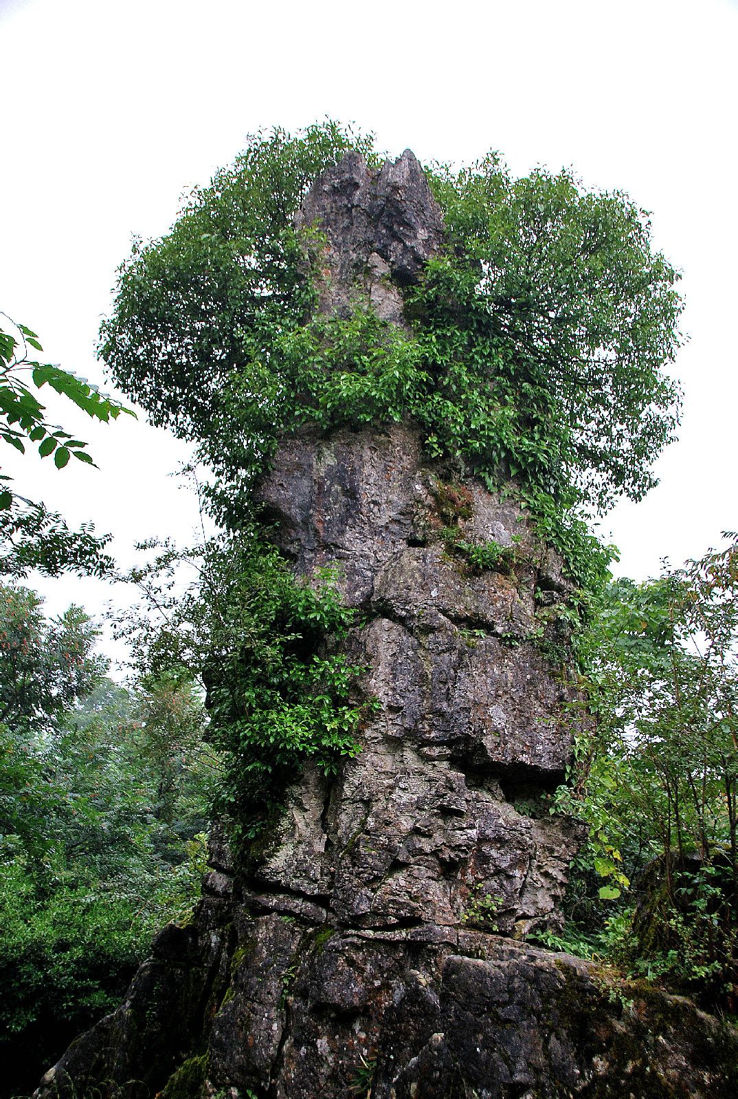 華鎣山生命石