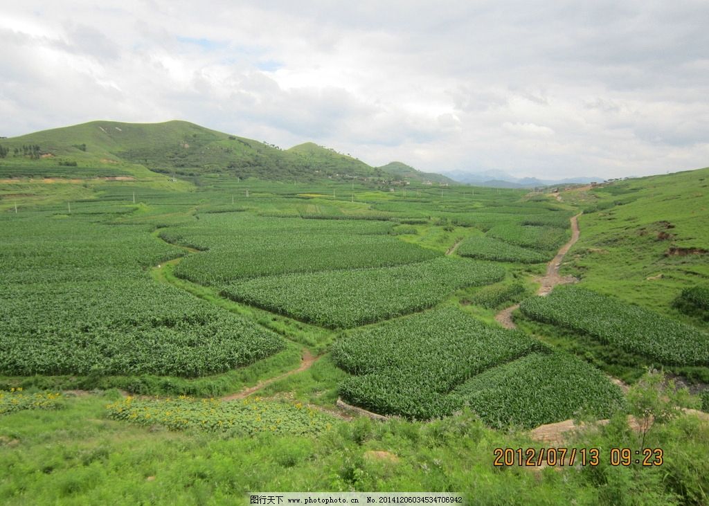丘陵 丘陵