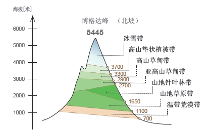 天山垂直自然帶譜 天山垂直自然帶譜