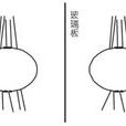 生物電磁波