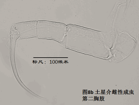 圖8b 圖8b