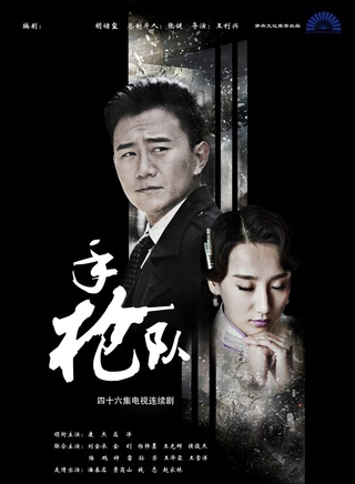 高洋(中國內地女演員)