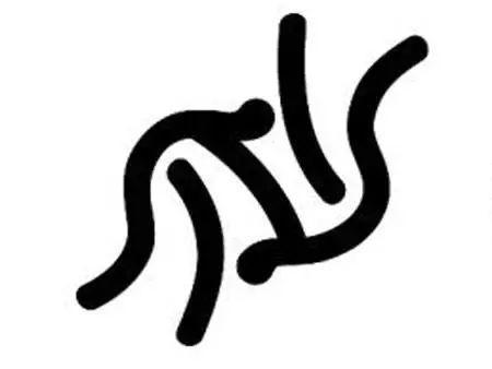 柔道 柔道
