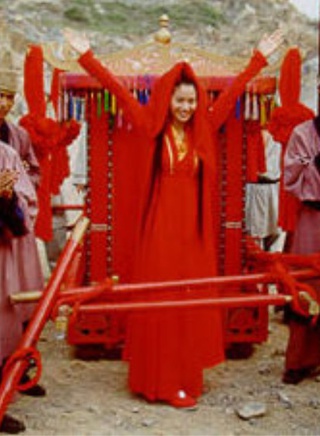 李貞賢(韓國影、視、歌多棲女藝人)