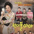 完美媽媽(2013年sbs由裴宗玉、鄭柔美主演韓劇)