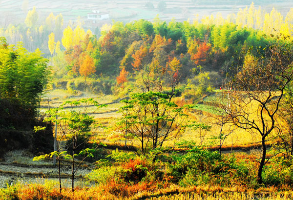 固始美景 固始美景