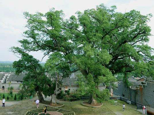 橫江鎮公塘村 橫江鎮公塘村