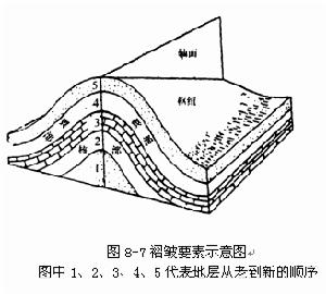 褶皺 褶皺