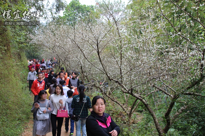 英地坡村