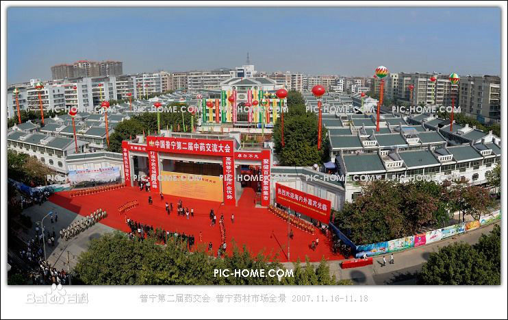 普寧(廣東省揭陽市下轄縣級市)